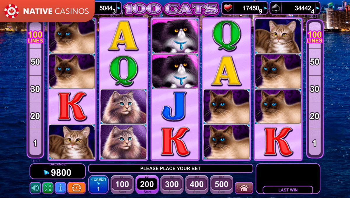 Play 100 Cats By EGT