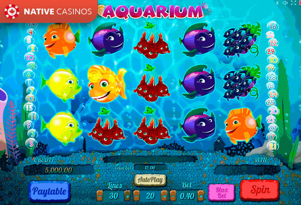 Play Aquarium By Playson
