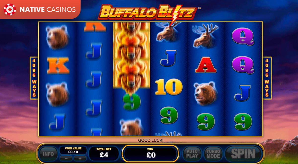 Play Buffalo Blitz By PlayTech