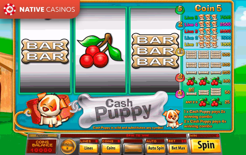 Play Cash Puppy By Saucify