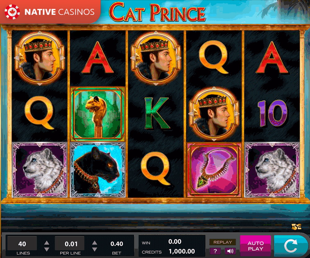 Play Cat Prince By About High 5