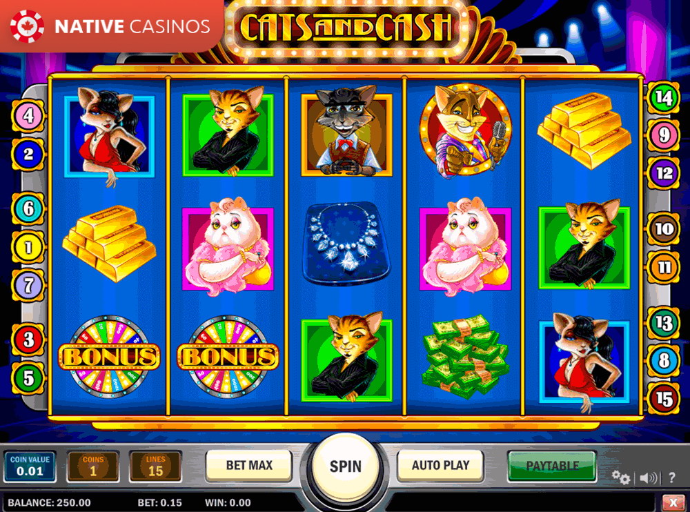 Play Cats and Cash By About Play’n Go