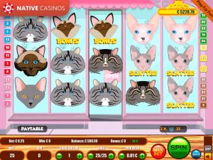Cats By Portomaso Gaming
