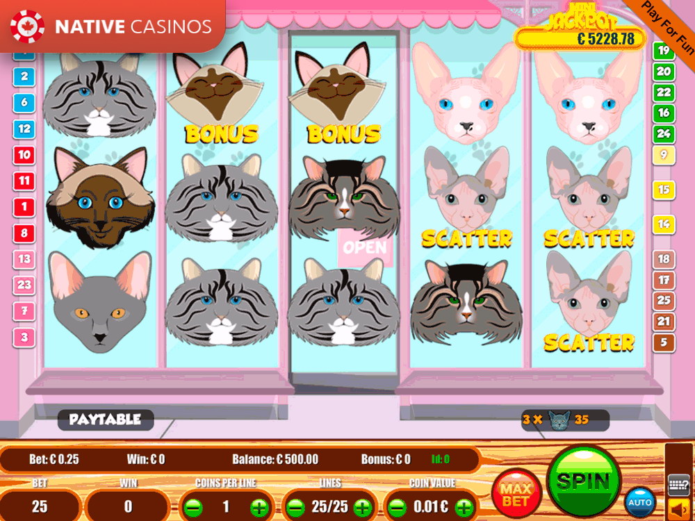 Play Cats By Portomaso Gaming