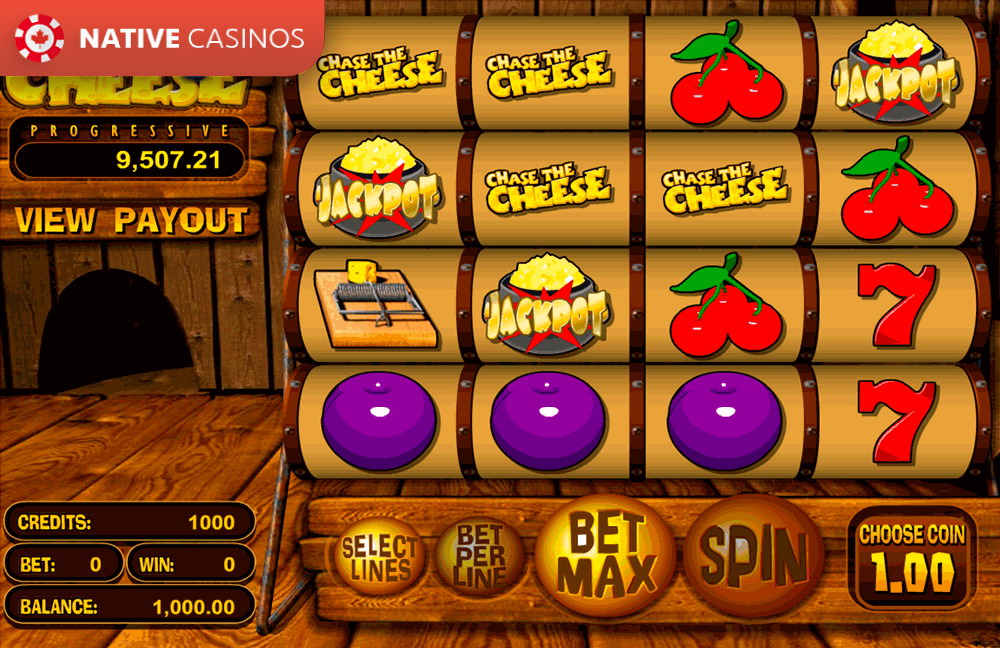 Play Chase the Cheese By About BetSoft