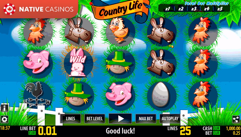 Play Country Life HD By World Match