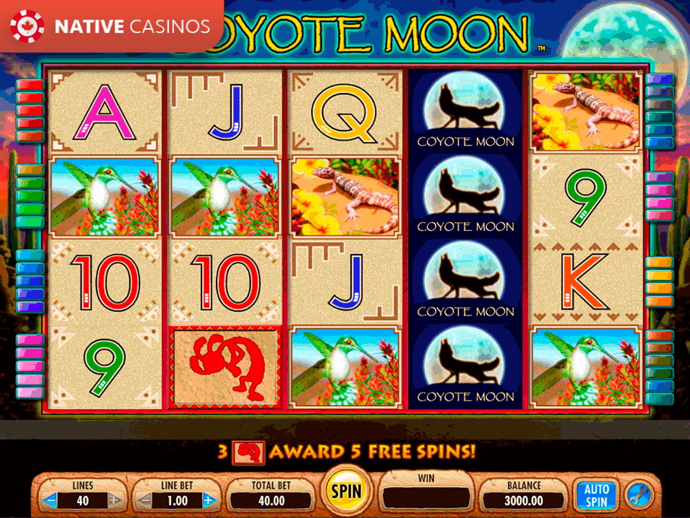 Play Coyote Moon By IGT
