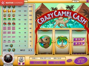 Crazy Camel Cash By Rival