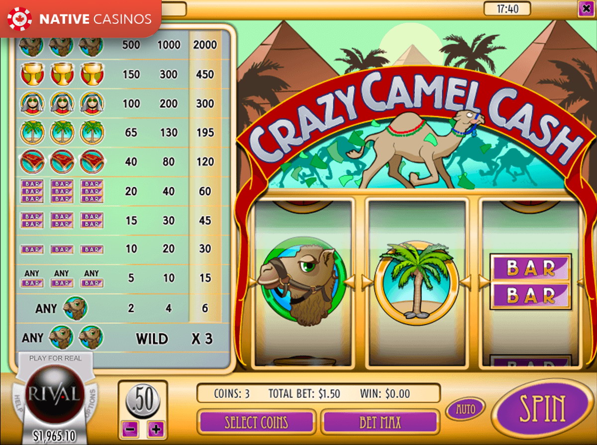 Play Crazy Camel Cash By Rival