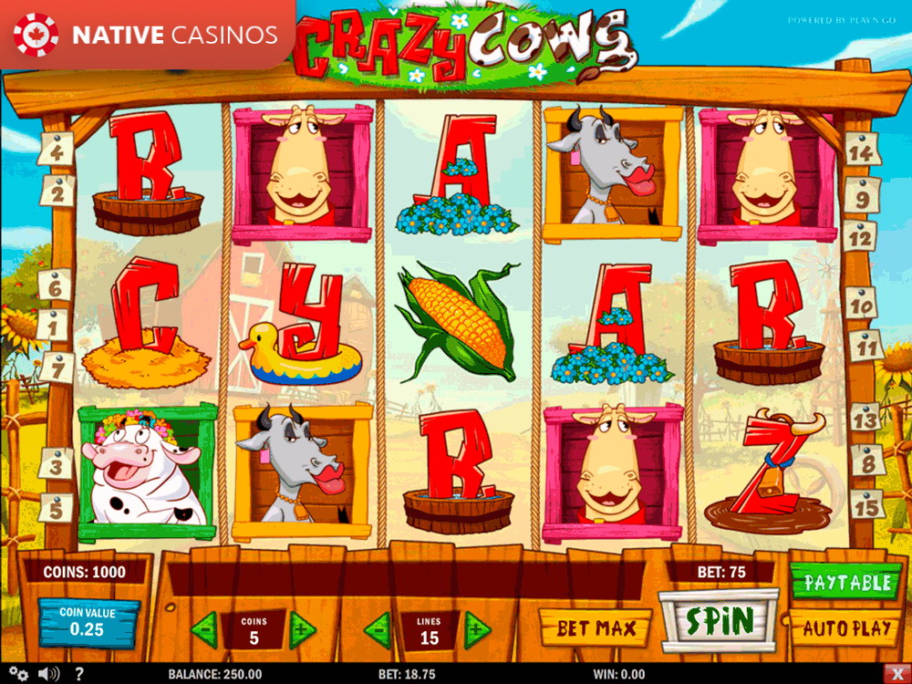 Play Crazy Cows Casino Slots by Play’n Go For Free