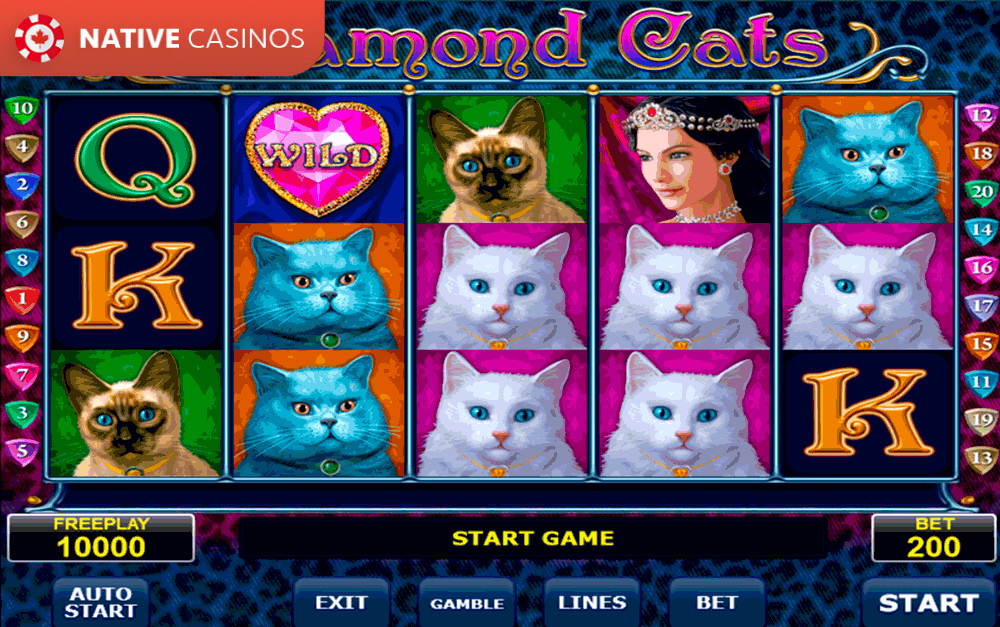 Play Diamond Cats By Amatic Info