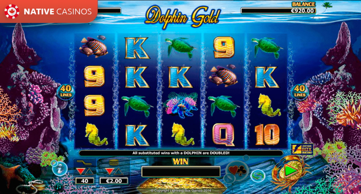 Play Dolphin Gold By Lightning Box