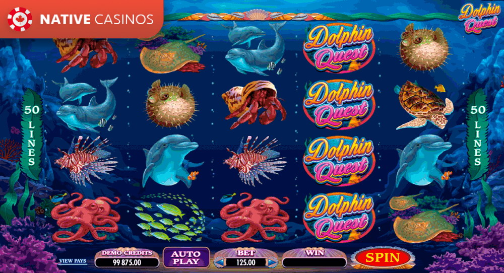 Play Dolphin Quest by Microgaming