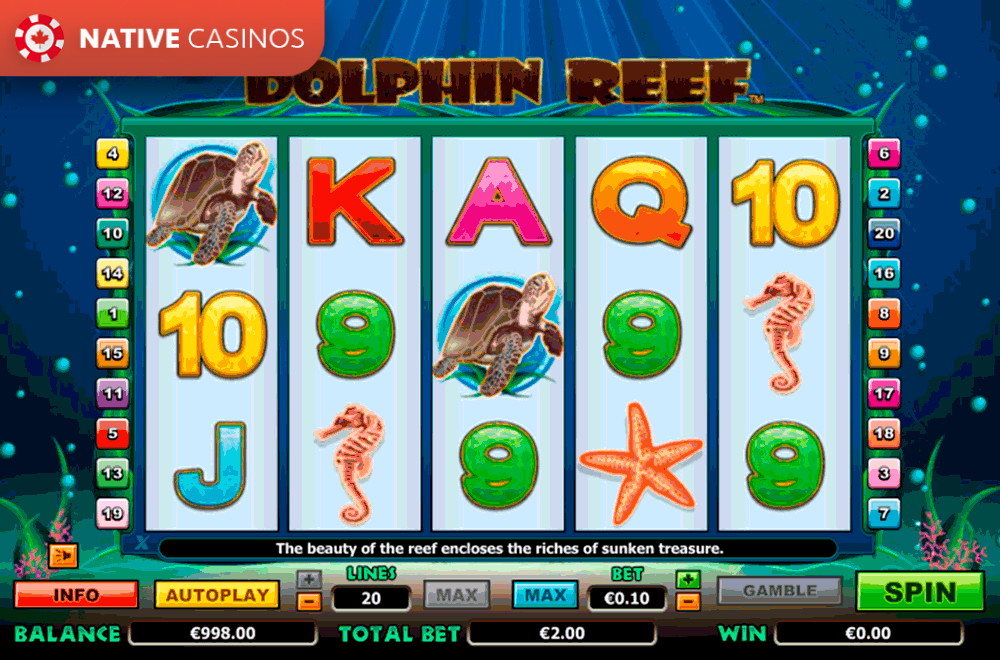 Play Dolphin Reef By About NextGen Gaming