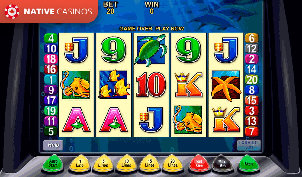 Play Play Dolphin Treasure Slots Online by Aristocrat For Free