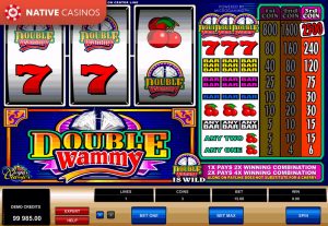 Double Wammy by Microgaming