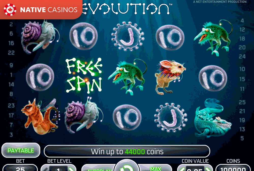 Play Evolution By NetEnt