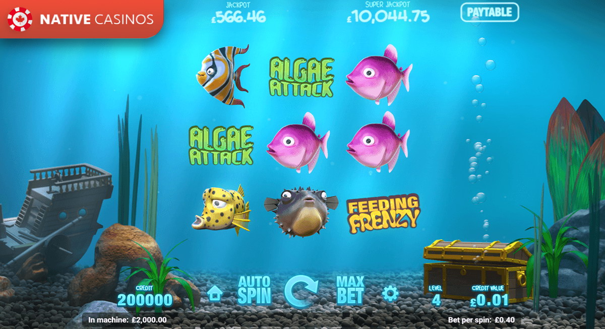 Play Fish Tank By Magnet Gaming