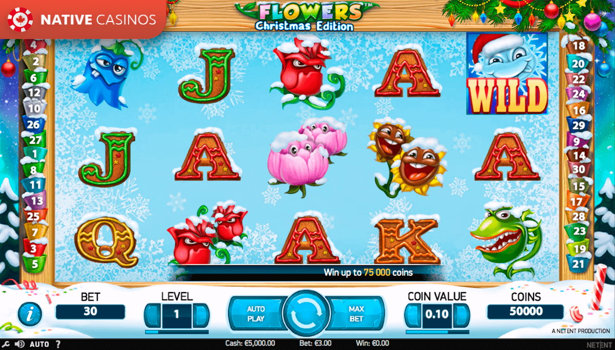 Play Flowers Christmas Edition By NetEnt