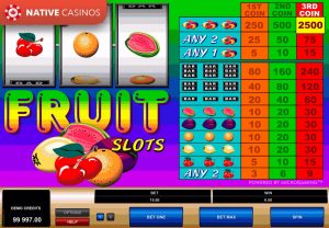 Fruit Slots by Microgaming