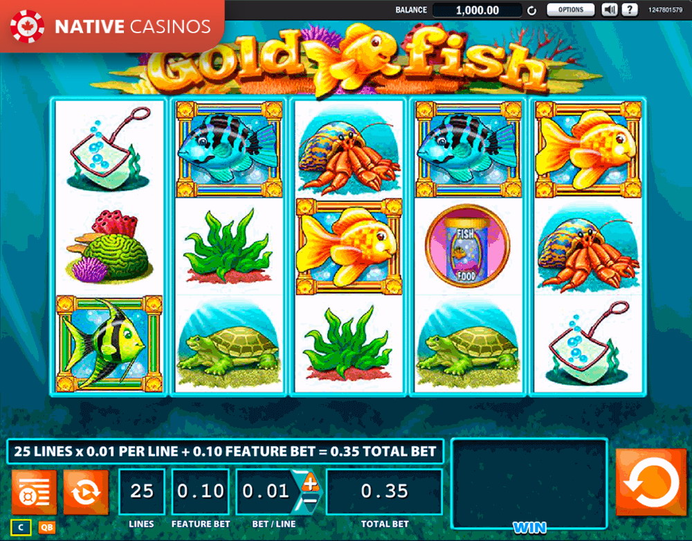 Play Gold Fish By About WMS
