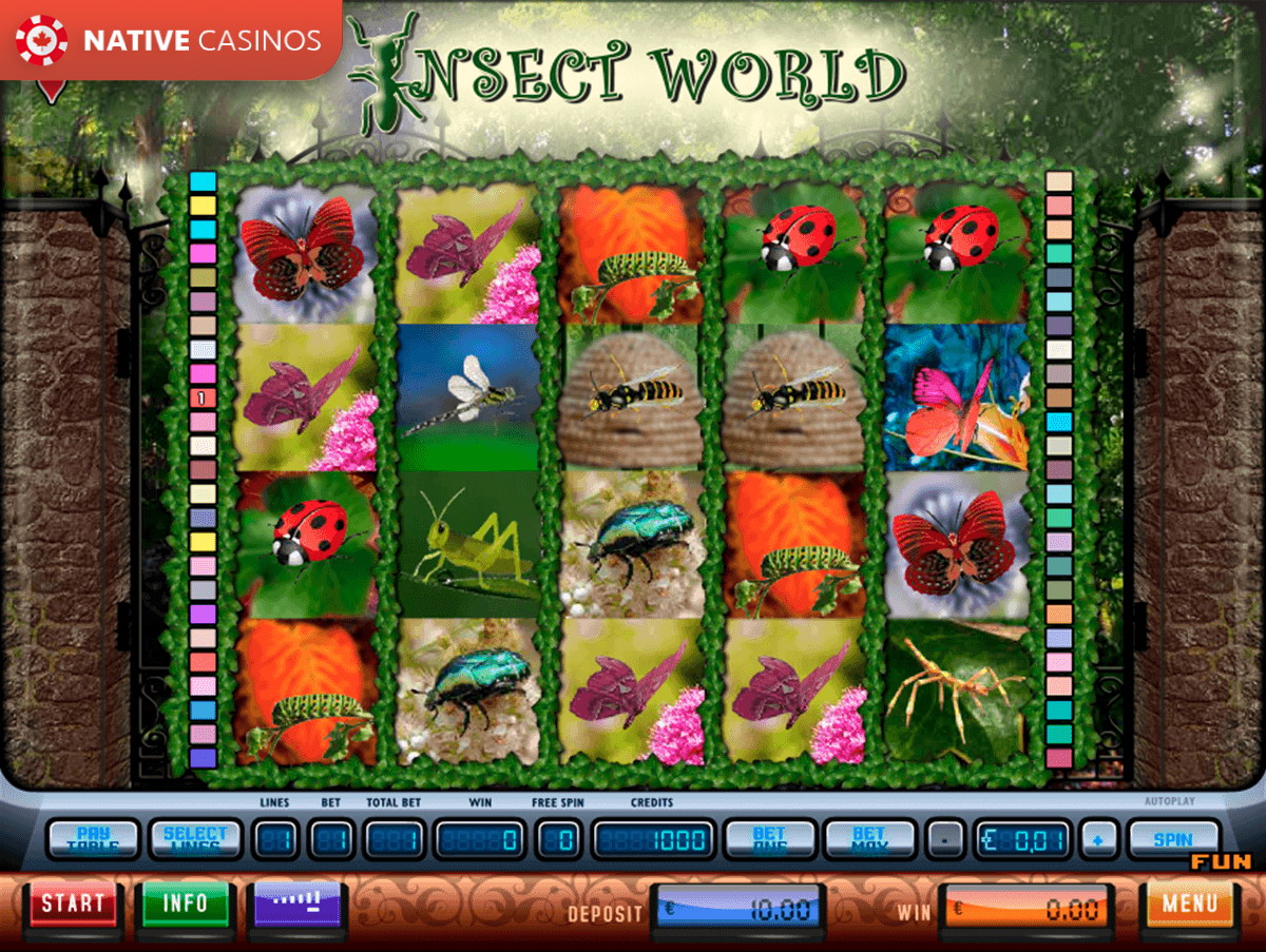 Play Insect World By Simbat