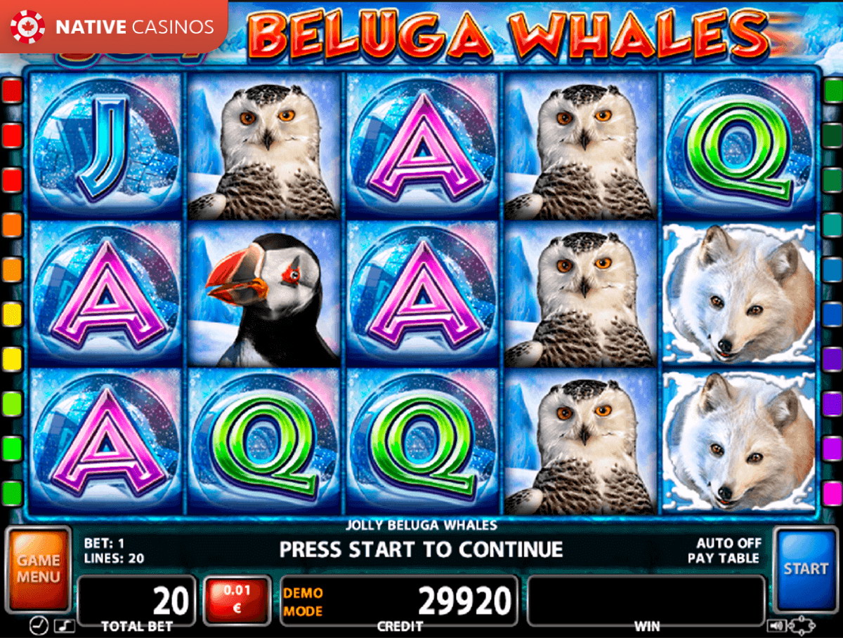 Play Jolly Beluga Whales By Casino Technology