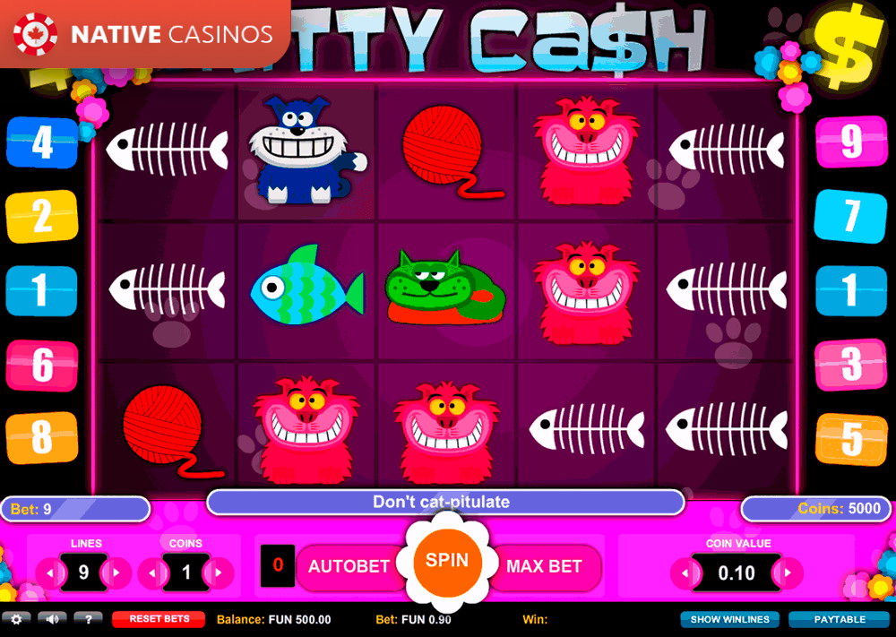 Play Kitty Cash Slot Machine by 1X2gaming For Free