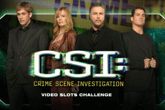 CSI By IGT