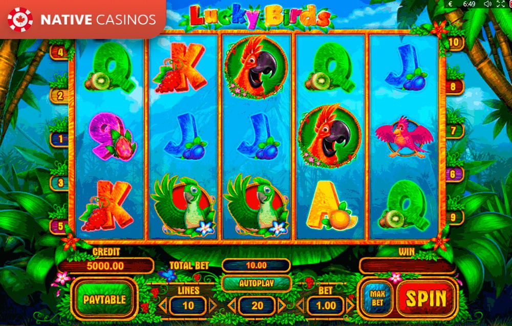 lucky bird casino free bonus codes