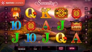 Lucky Twins Slot by Microgaming For Free