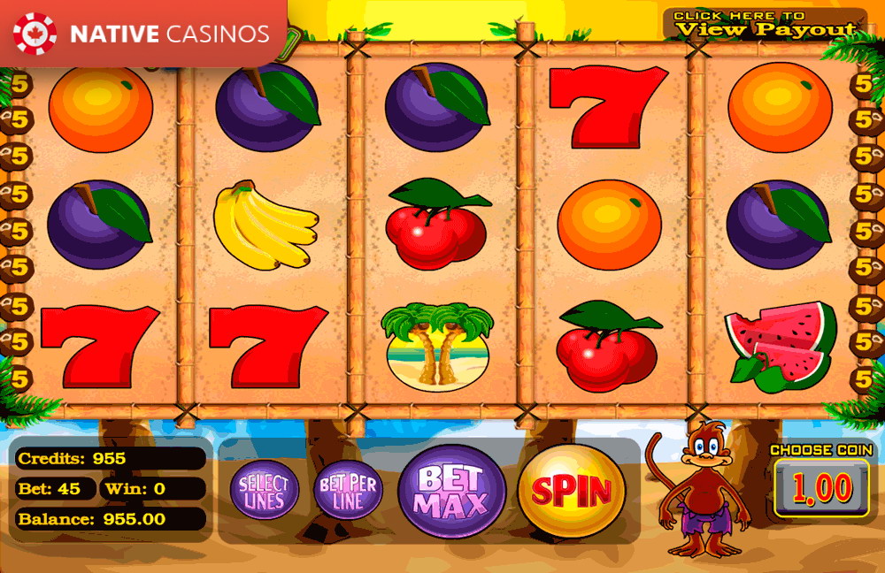 Play Monkey Money By About BetSoft