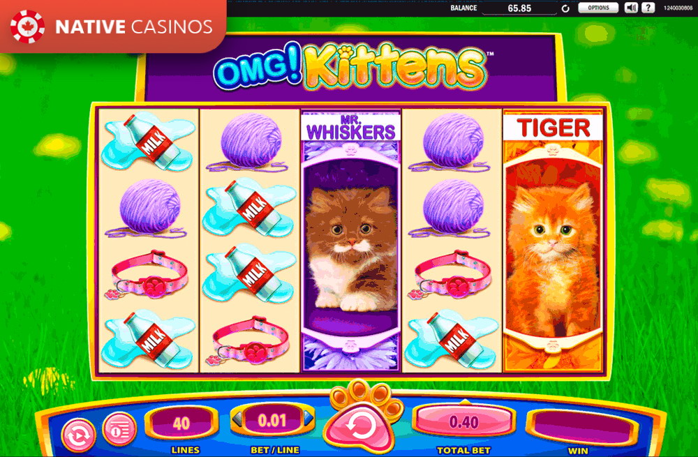 Play OMG! Kittens By About WMS