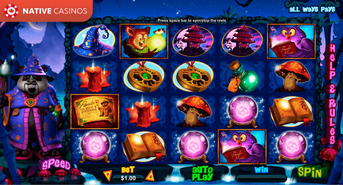 Springbok casino free spins no deposit