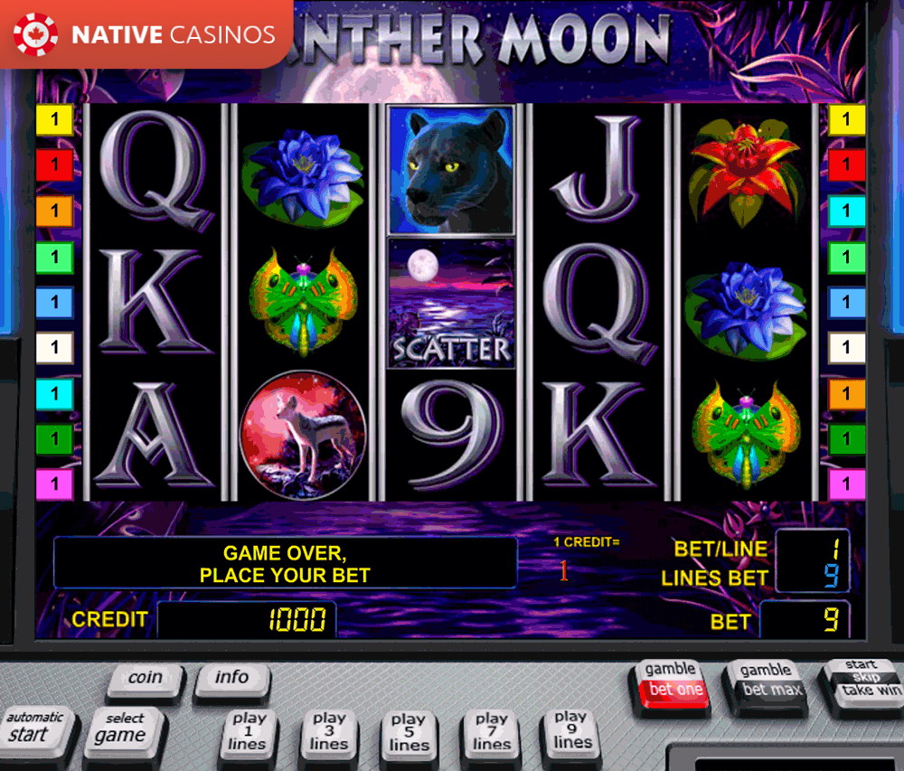 Play Panther Moon Slot Game by Novomatic For Free