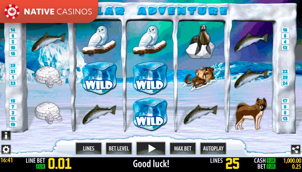 Play Polar Adventure HD By World Match
