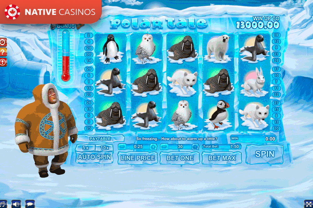Букмекерские онлайн играть в игровой автомат polar tale полярная сказка ставку процента