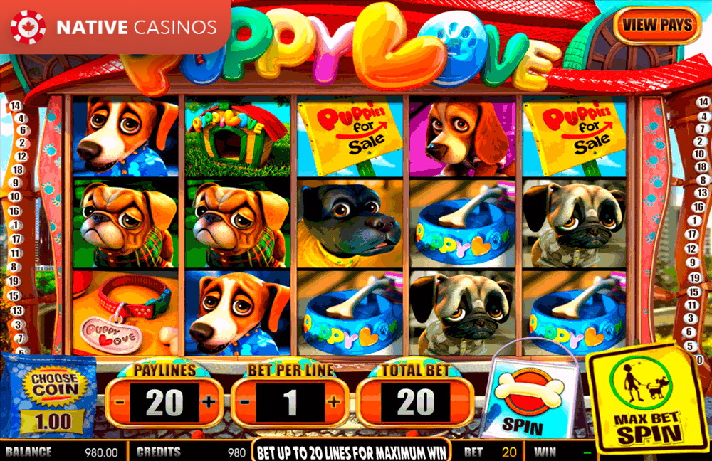 Play Puppy Love By About BetSoft