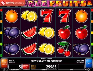 Purple Fruits By Casino Technology