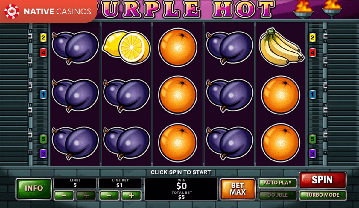 Play Purple Hot By PlayTech