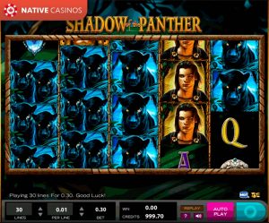 Shadow of the Panther By About High 5