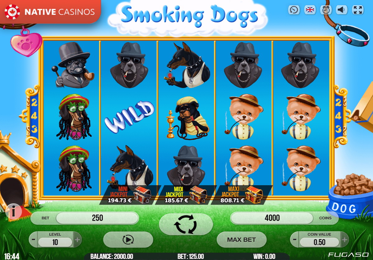 Play Smoking Dogs By Fugaso