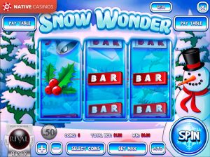 Snow Wonder By Rival