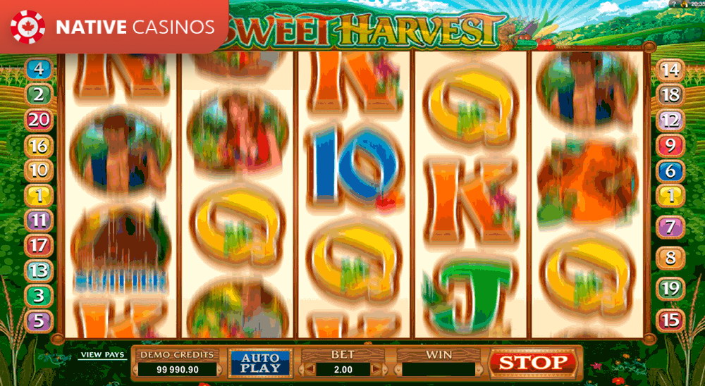 Play Sweet Harvest by Microgaming