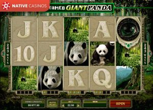 Untamed Giant Panda by Microgaming