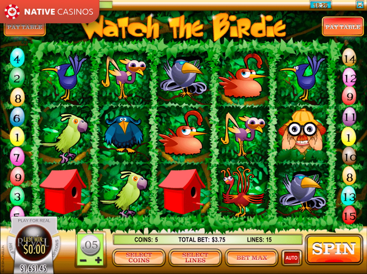 Play Watch the Birdie By Rival