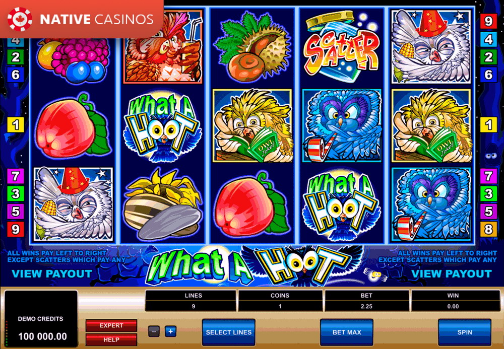 Play What a Hoot by Microgaming