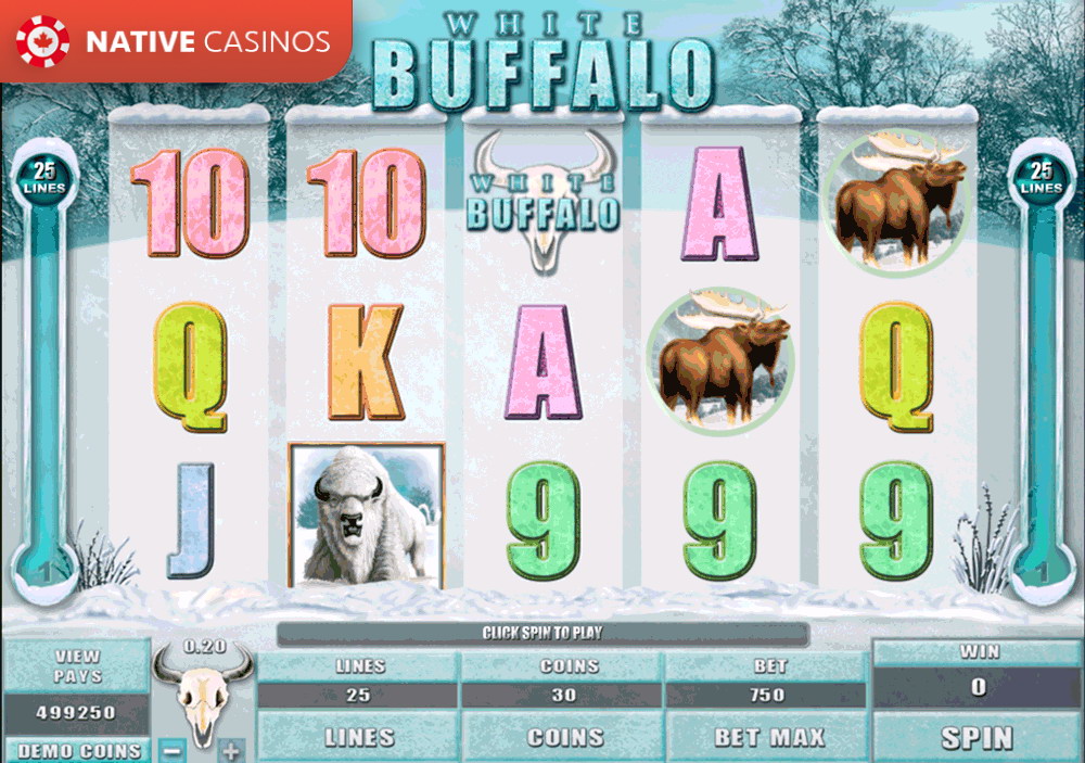 Play White Buffalo by Microgaming