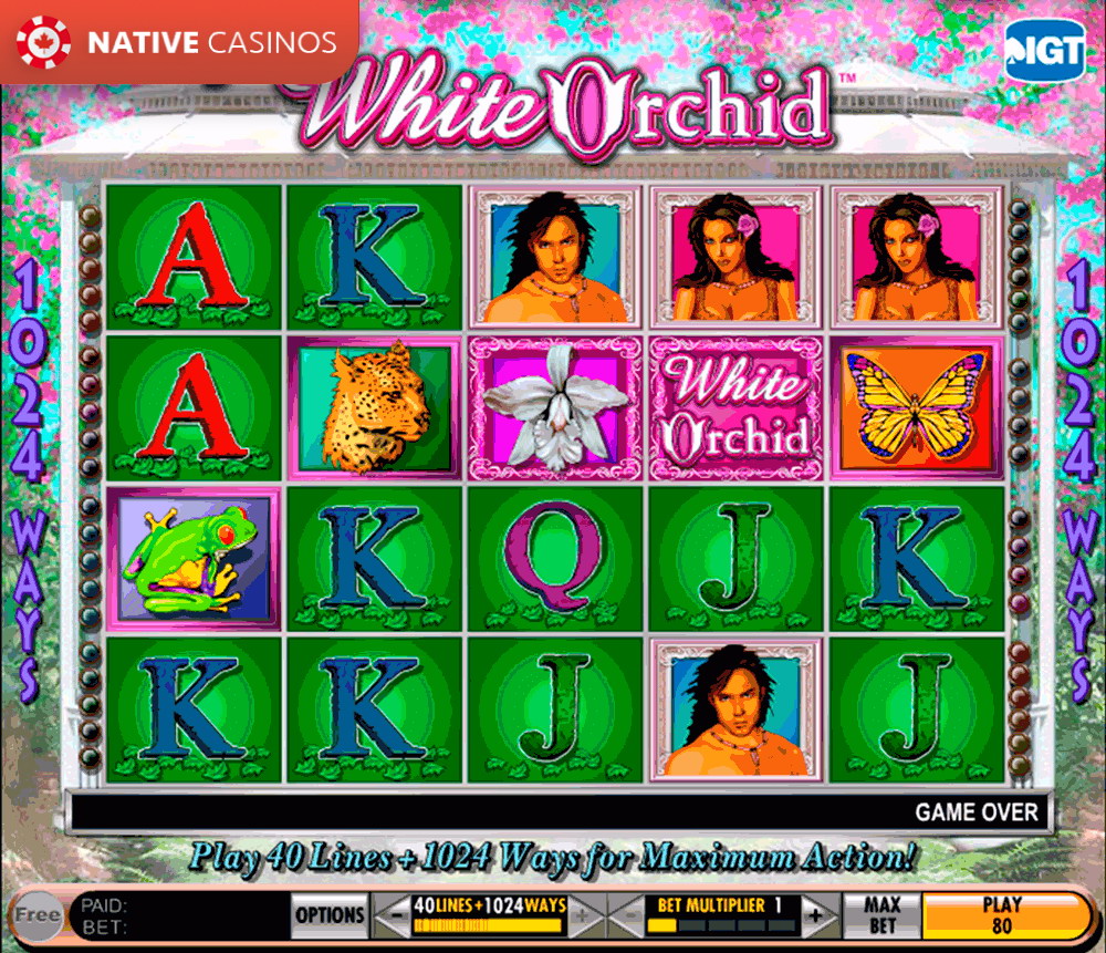 Play White Orchid By IGT