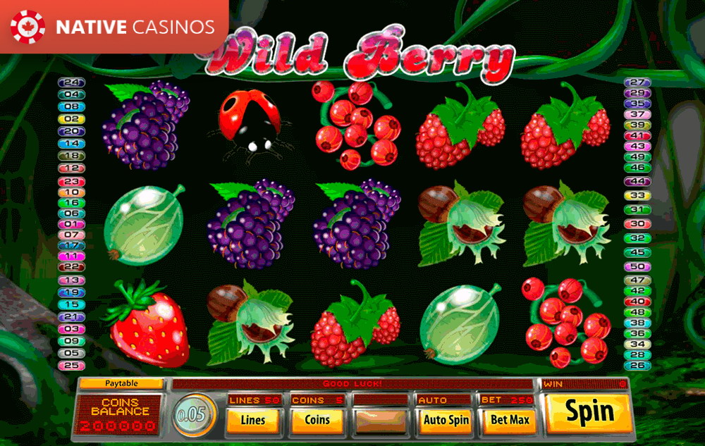 Play Wild Berry By Saucify